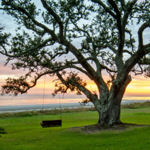 James Hargrove – South Mississippi & Hattiesburg